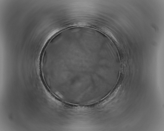 X0000112771087200909031606