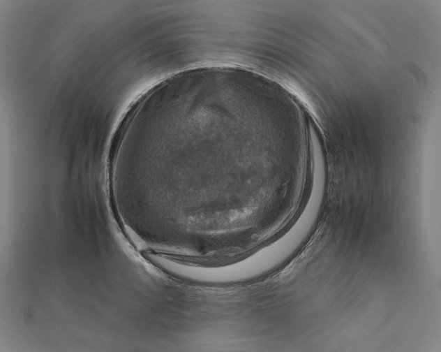 X0000112771088200909031606