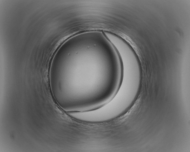 X0000112771089200909031606