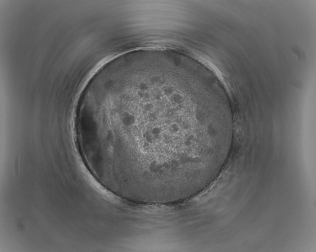 X0000112771091200909031606