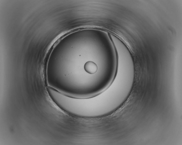 X0000112771092200909031606