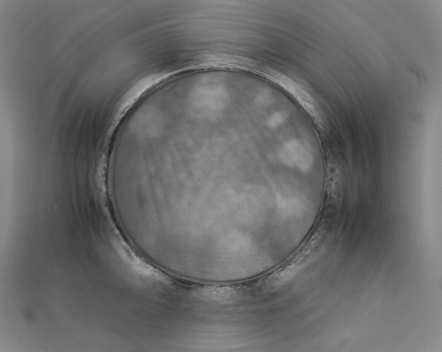 X0000112771094200909031606