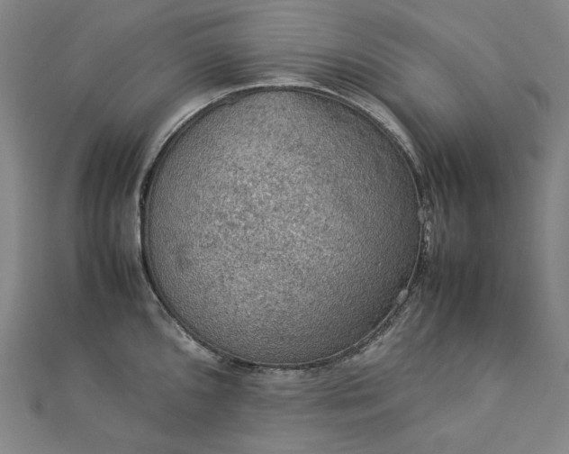 X0000112771096200909031606