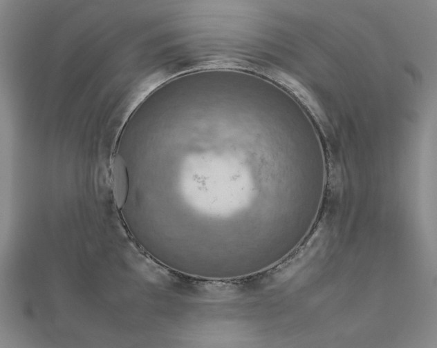 X0000112771097200909031606