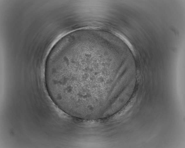 X0000112771099200909031606