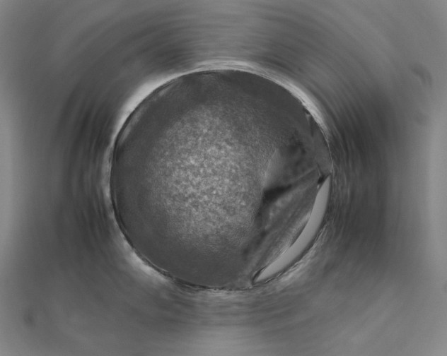 X0000112771102200909031606