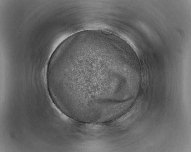 X0000112771103200909031606