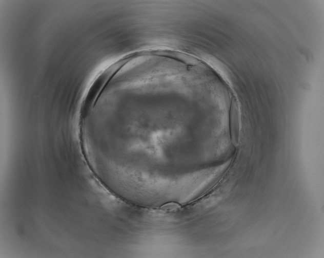 X0000112771104200909031606