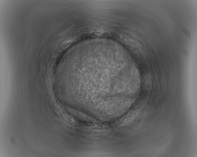 X0000112771105200909031605