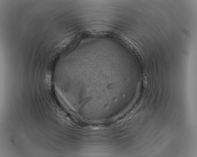 X0000112771108200909031605