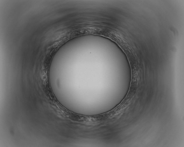 X0000112771109200909031605