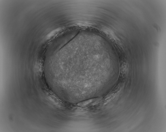 X0000112771110200909031605