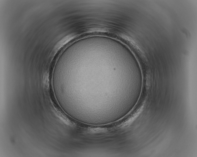 X0000112771113200909031605