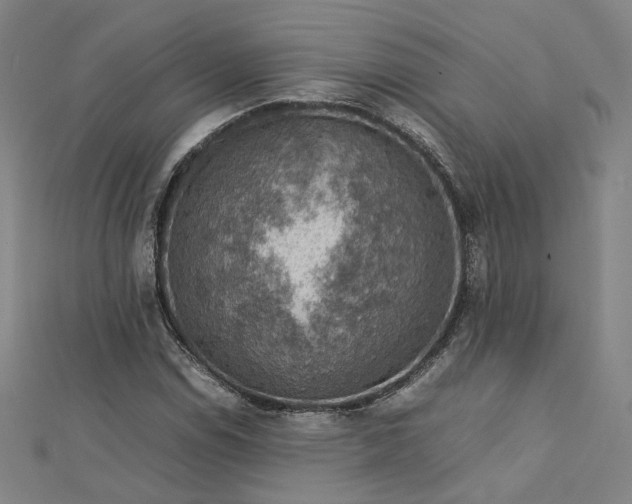 X0000112771114200909031605