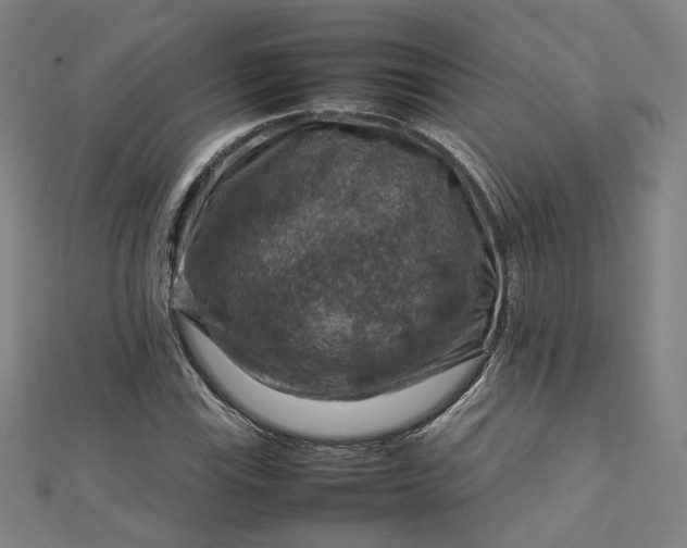 X0000112771115200909031605