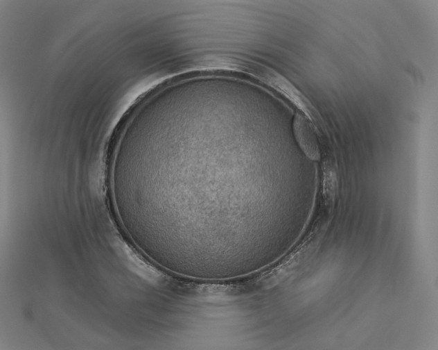 X0000112771116200909031605