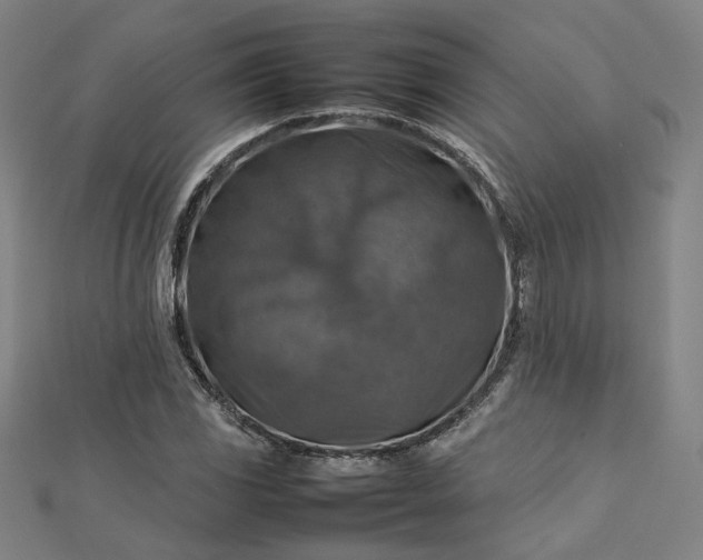 X0000112771117200909031605