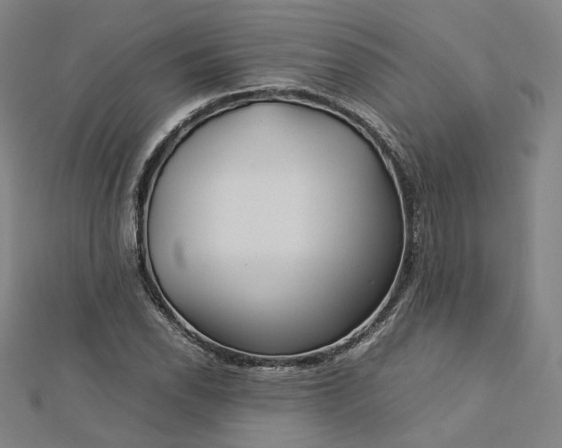 X0000112771118200909031605