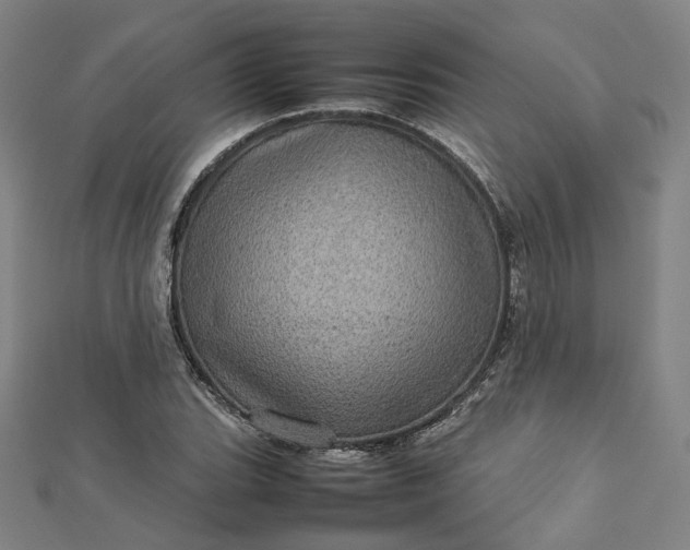 X0000112771119200909031605