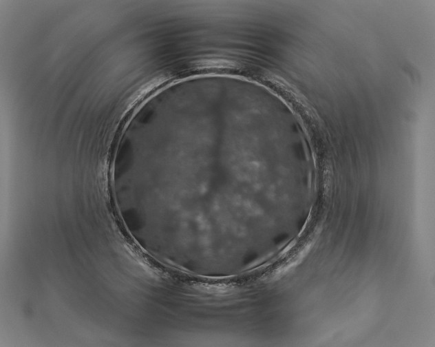 X0000112771121200909031605