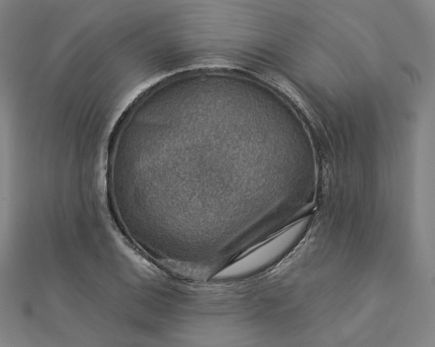 X0000112771124200909031605