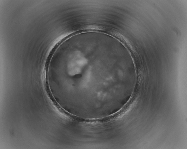 X0000112771125200909031605