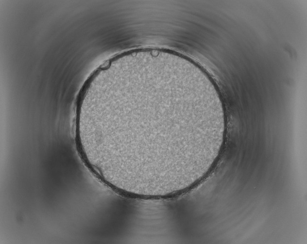 X0000112771126200909031605