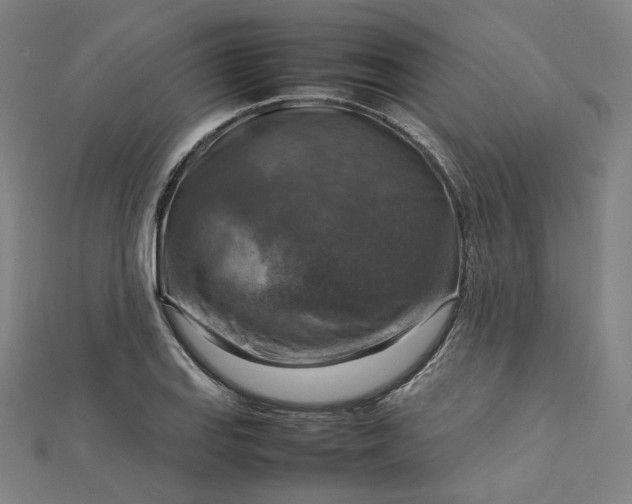 X0000112771127200909031605