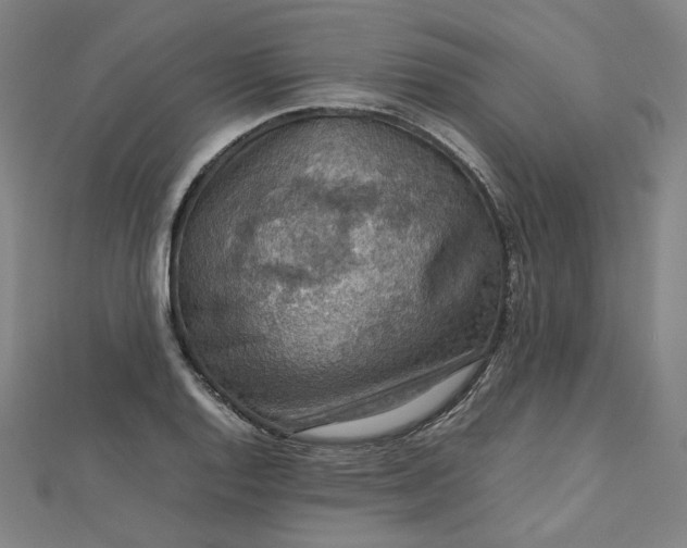 X0000112771128200909031605