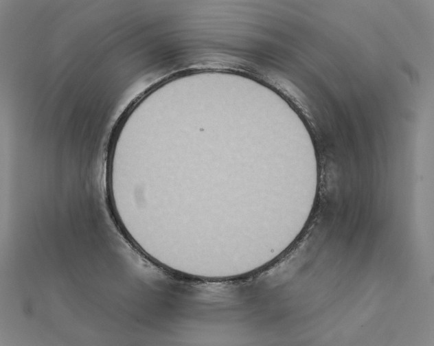 X0000112771130200909031605