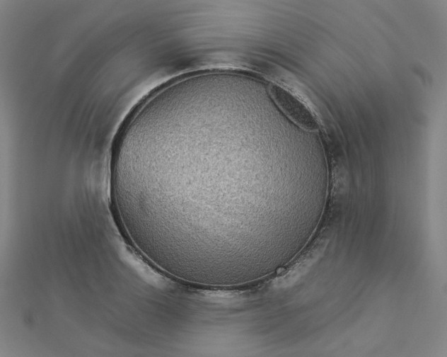 X0000112771132200909031606