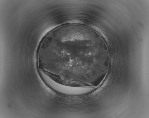 X0000112771133200909031606