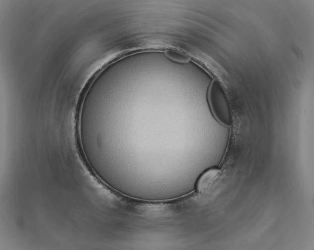 X0000112771134200909031606