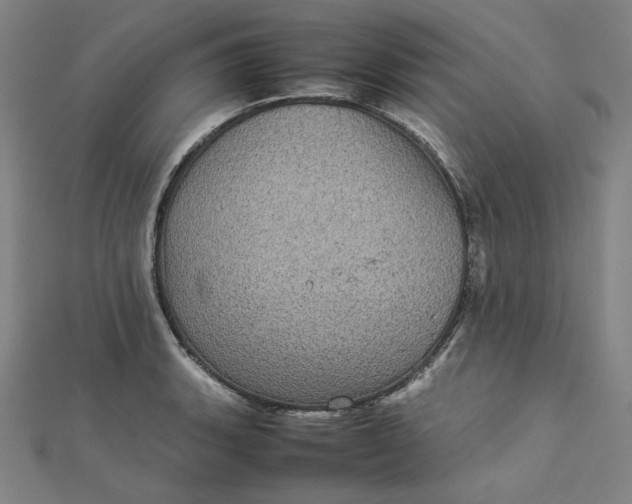 X0000112771135200909031606