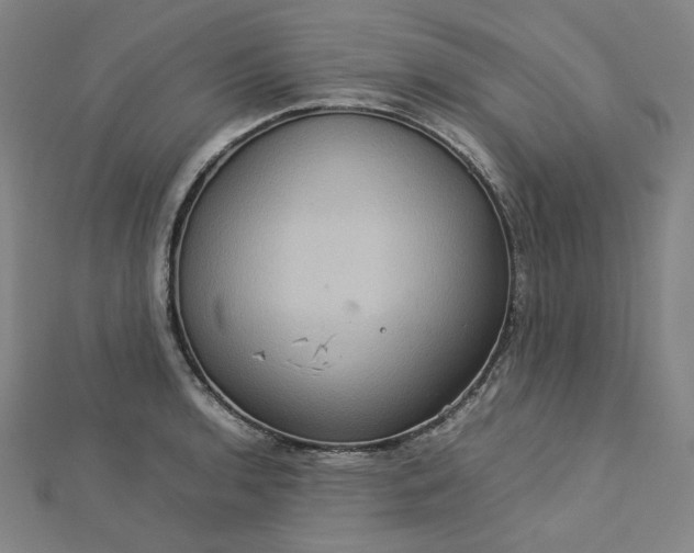 X0000112771136200909031606