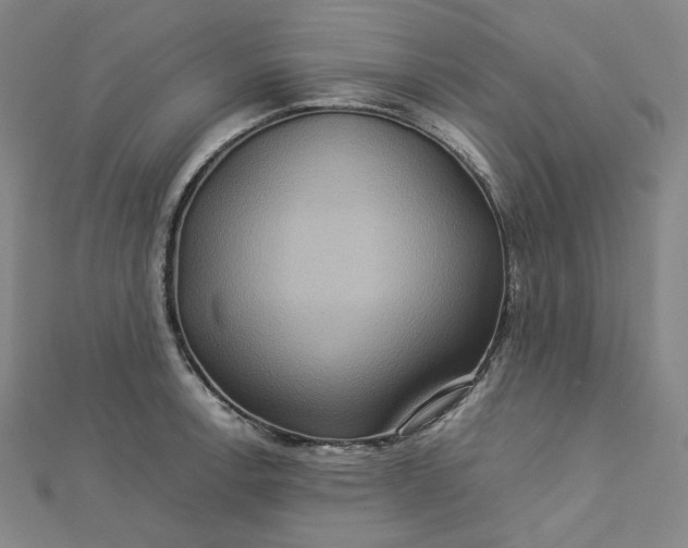 X0000112771138200909031606