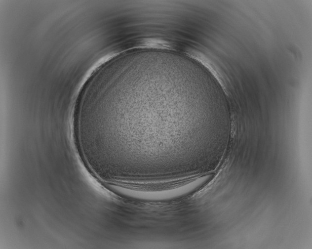 X0000112771139200909031606