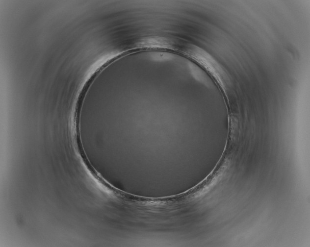 X0000112771141200909031606