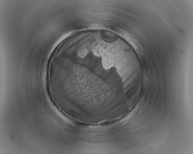 X0000112771142200909031606