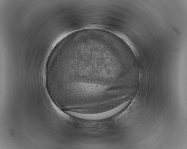 X0000112771143200909031606