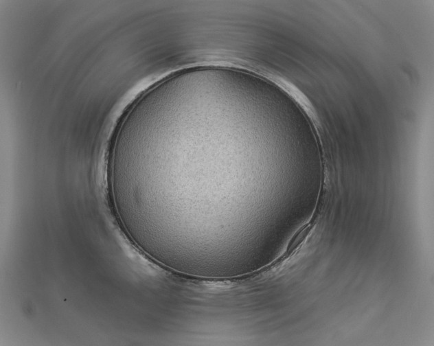 X0000112771144200909031606