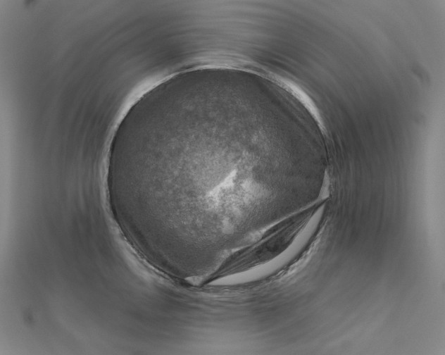 X0000112771146200909031606