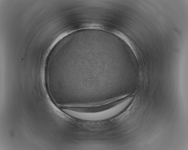 X0000112771147200909031606