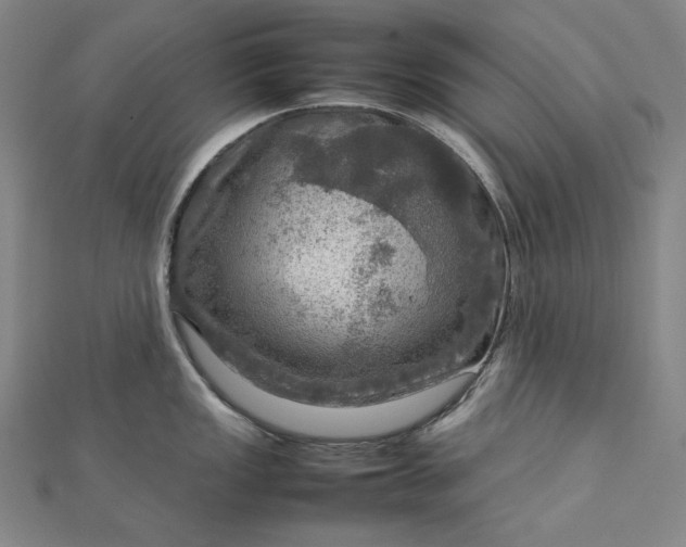 X0000112771149200909031606