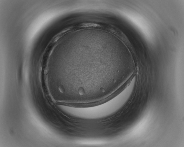 X0000112771151200909031606