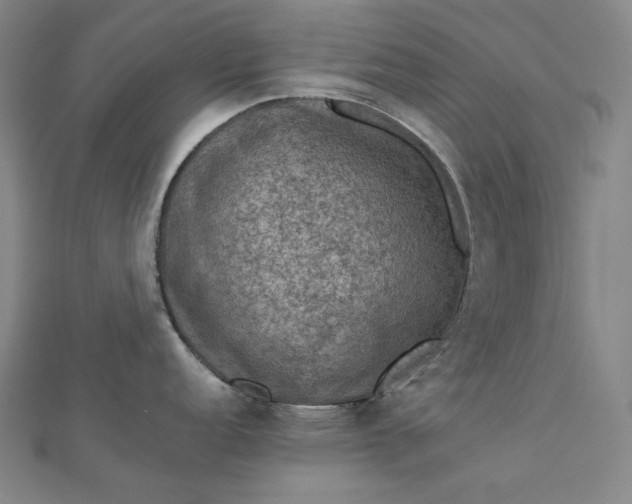 X0000112771152200909031606