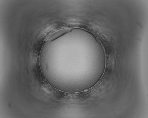 X0000112771157200909031605