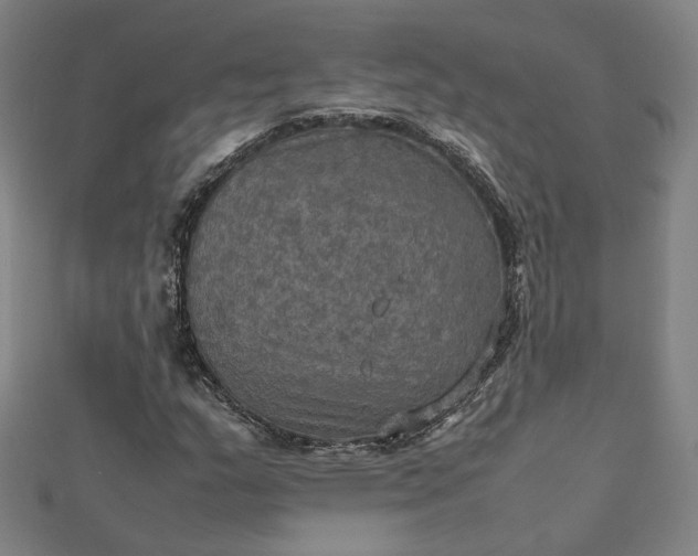 X0000112771159200909031605