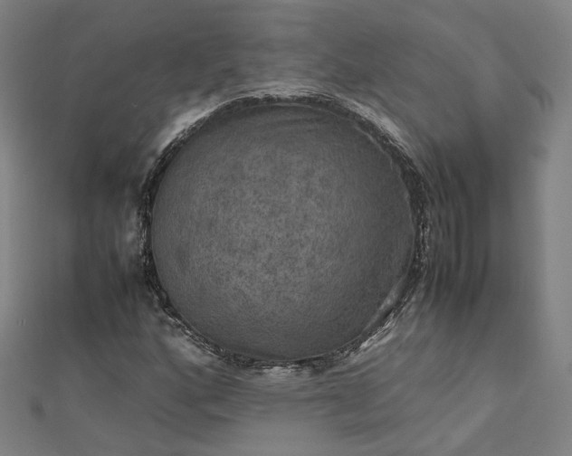 X0000112771160200909031605