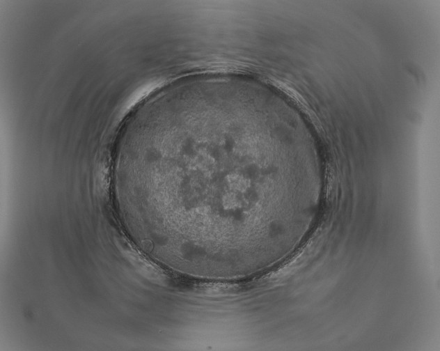 X0000112771163200909031605